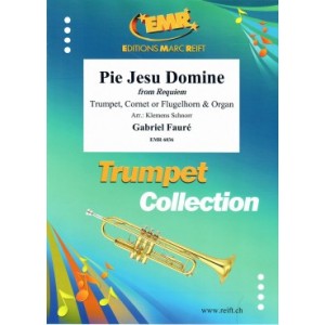 Pie Jesu Domine (aus Requiem) ( Faure,Gabriel)